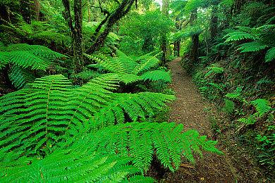 E3 2021：《兽人必须死3》将登陆Steam＆Xbox和PS4